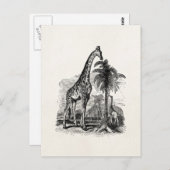 Giraffe - Persoonlijke illustratie van dieren Briefkaart (Voorkant / Achterkant)