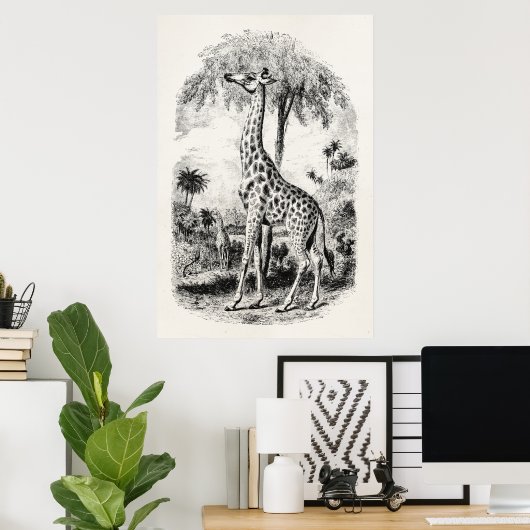  Giraffe - Persoonlijke illustratie van dieren Poster (Thuiskantoor)