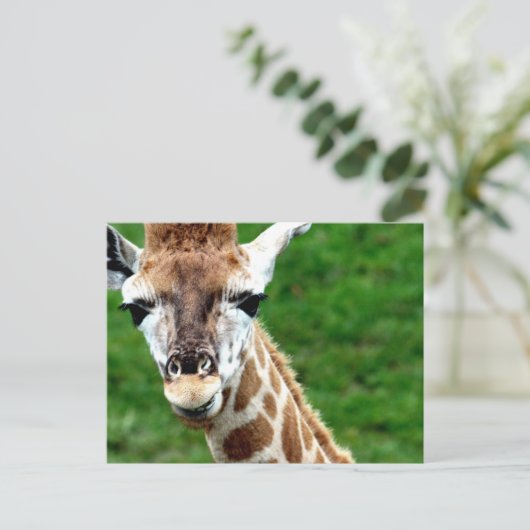 Giraffe Photo Briefkaart (Staand voorkant)