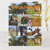 Giraffe Photo Collage, Jumbo Birthday Kaart (Gele Bloem)
