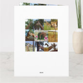 Giraffe Photo Collage, Jumbo Birthday Kaart (Achterkant)