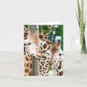 Giraffe Photo Folded Note Kaart