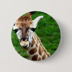 Giraffe Photo Round Button