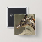 Giraffe Pin Vierkante Button 5,1 Cm (Voorkant /achterkant)