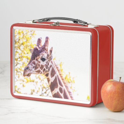 Giraffe Portrait (In situ)