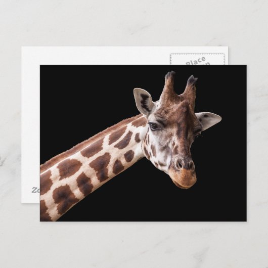 Giraffe Portrait Briefkaart (Voorkant / Achterkant)