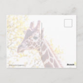 Giraffe Portrait Briefkaart (Achterkant)