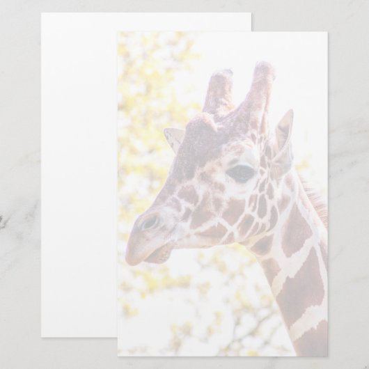Giraffe Portrait Briefpapier (Voorkant / Achterkant)