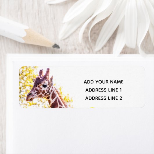 Giraffe Portrait Etiket (Insitu)