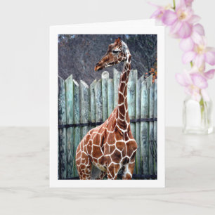 Giraffe Portrait Kaart
