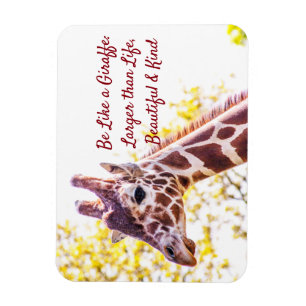 Giraffe Portrait Magneet