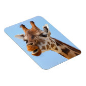 Giraffe Portrait magnet Magneet (Rechterzijde)