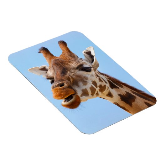 Giraffe Portrait magnet Magneet (Rechterzijde)