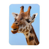 Giraffe Portrait magnet Magneet (Verticaal)