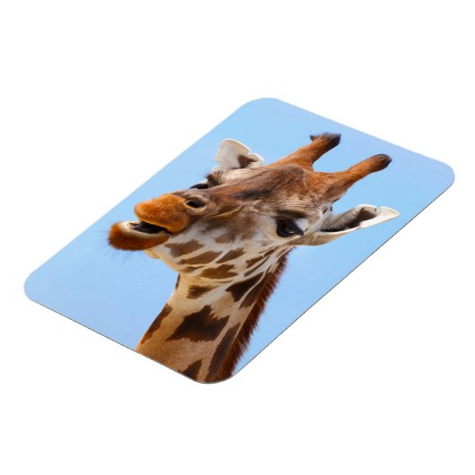 Giraffe Portrait magnet Magneet (Linkerzijde)