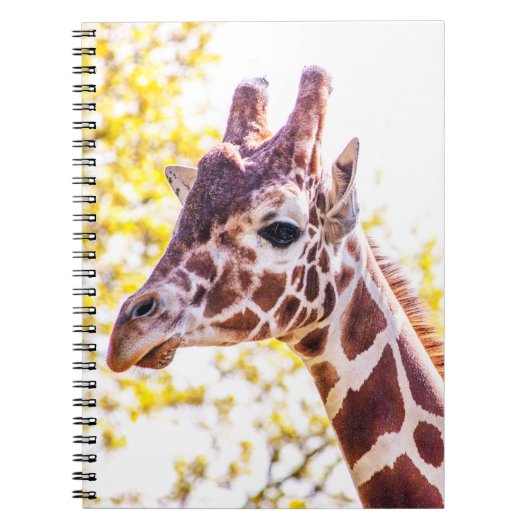 Giraffe Portrait Notitieboek (Voorkant)