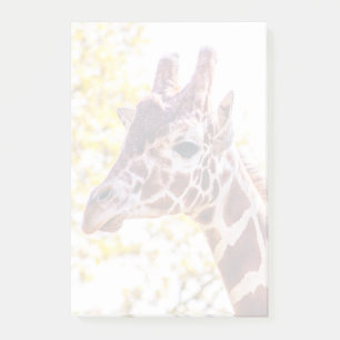 Giraffe Portrait Post-it® Notes