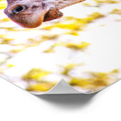 Giraffe Portrait Poster (Hoek)