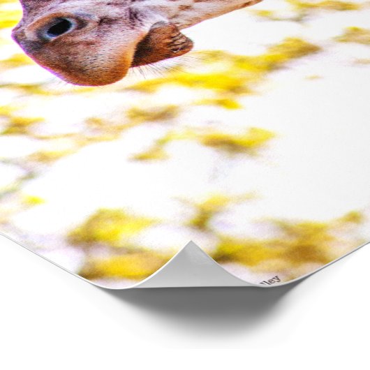 Giraffe Portrait Poster (Hoek)