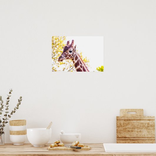 Giraffe Portrait Poster (Keuken)