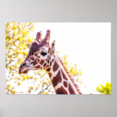 Giraffe Portrait Poster (Voorkant)