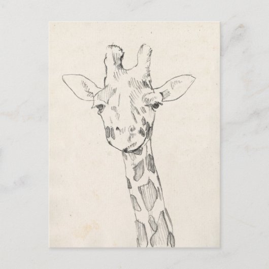 Giraffe Portrait | Schets Briefkaart (Voorkant)