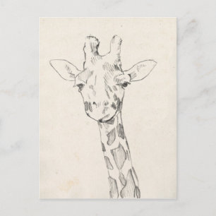 Giraffe Portrait   Schets Briefkaart