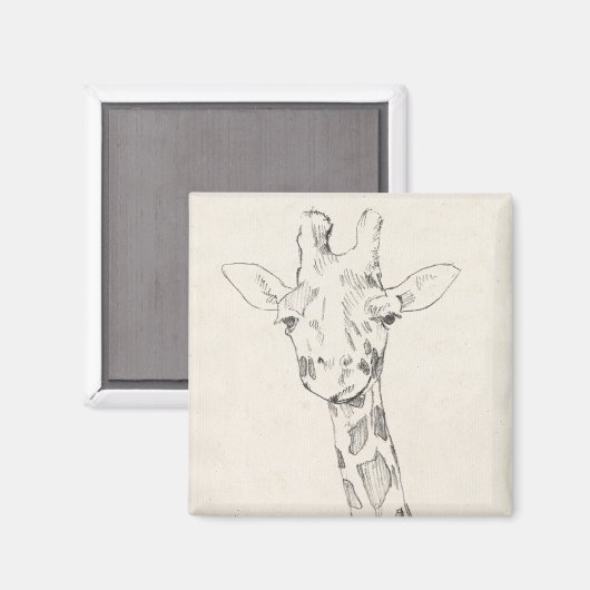 Giraffe Portrait | Schets Magneet (Voorkant / Achterkant)