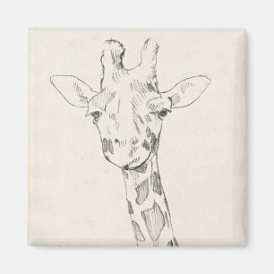 Giraffe Portrait   Schets Magneet