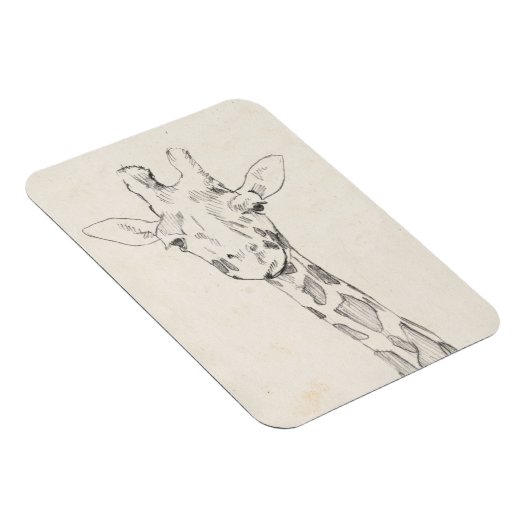 Giraffe Portrait | Schets Magneet (Rechterzijde)