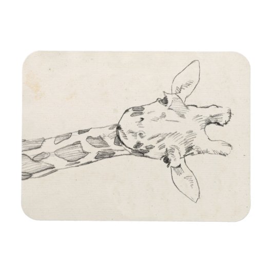 Giraffe Portrait | Schets Magneet (Horizontaal)