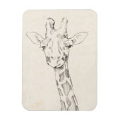 Giraffe Portrait | Schets Magneet (Verticaal)