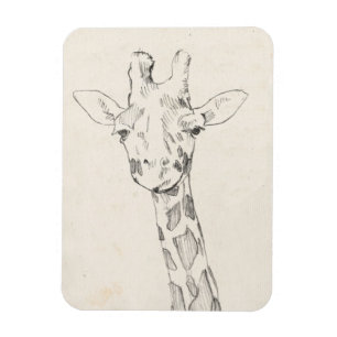Giraffe Portrait   Schets Magneet