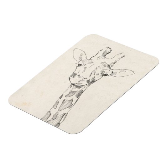 Giraffe Portrait | Schets Magneet (Linkerzijde)