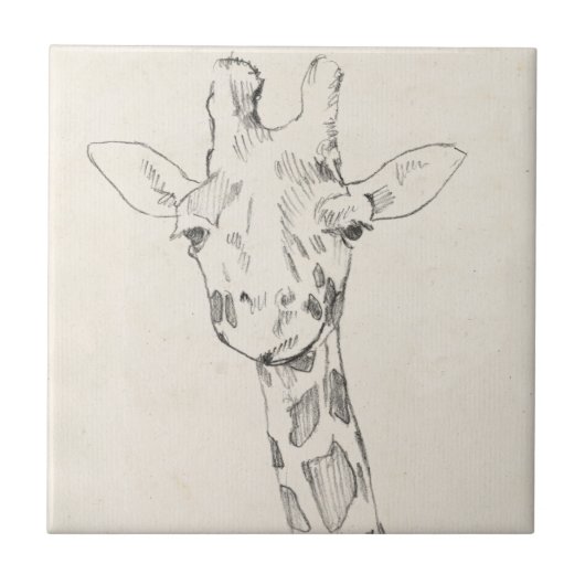 Giraffe Portrait | Schets Tegeltje (Voorkant)