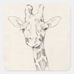 Giraffe Portrait   Schets Vierkante Sticker