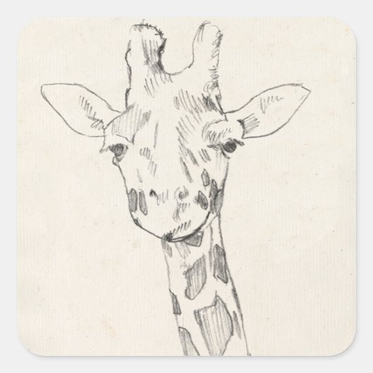 Giraffe Portrait | Schets Vierkante Sticker (Voorkant)