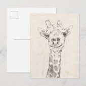 Giraffe Portrait Sketch Briefkaart (Voorkant / Achterkant)