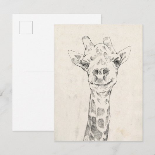 Giraffe Portrait Sketch Briefkaart (Voorkant / Achterkant)