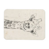 Giraffe Portrait Sketch Magneet (Horizontaal)