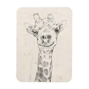 Giraffe Portrait Sketch Magneet