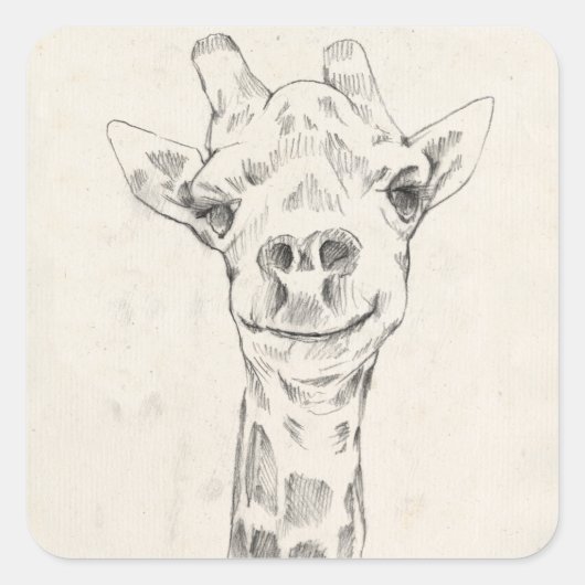 Giraffe Portrait Sketch Vierkante Sticker (Voorkant)