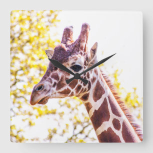 Giraffe Portrait Vierkante Klok