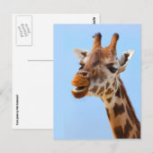Giraffe Portret aangepast briefkaart (Voorkant / Achterkant)