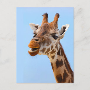 Giraffe Portret aangepast briefkaart