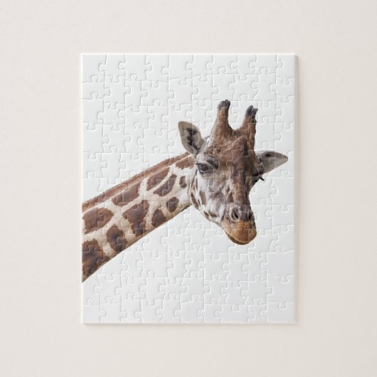 Giraffe Portret Foto op White Legpuzzel (Verticaal)