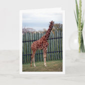 Giraffe Portret Kaart (Voorkant)