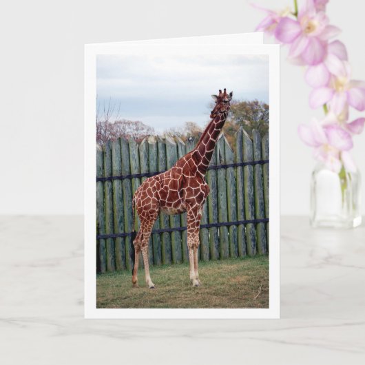 Giraffe Portret Kaart (Orchidee)