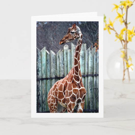 Giraffe Portret Kaart (Gele Bloem)