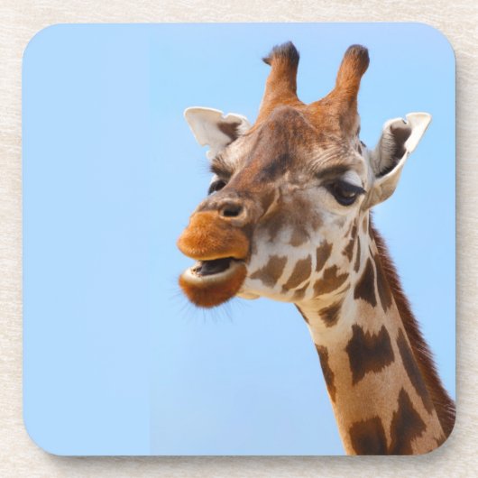 Giraffe Portret onderzetters (Voorkant)